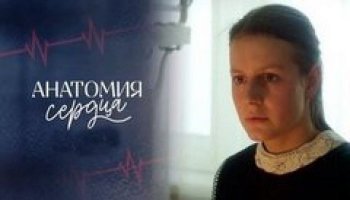 Анатомия сердца