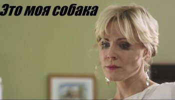 Это моя собака